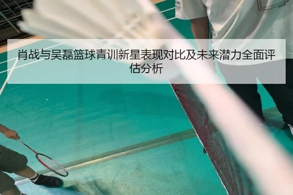 肖战与吴磊篮球青训新星表现对比及未来潜力全面评估分析